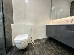 Cairnhill 16 (D9), Apartment #479828201